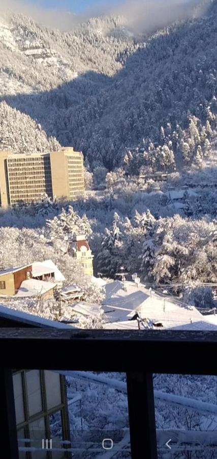 Tamara Apartment Borjomi Bagian luar foto